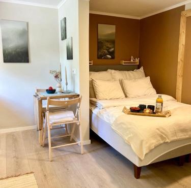 Modern studio in Horten with free parking