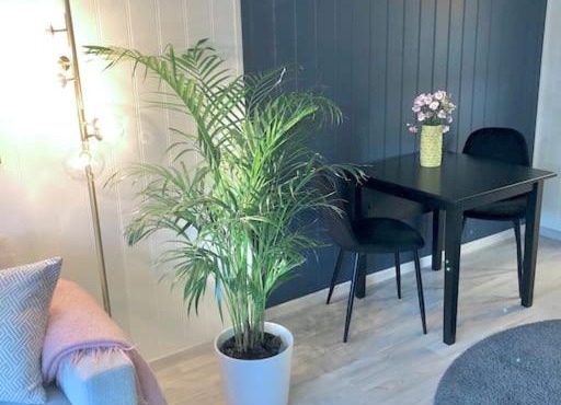 Moderne og sentral leilighet med koselig og privat uteplass! in Hornnes