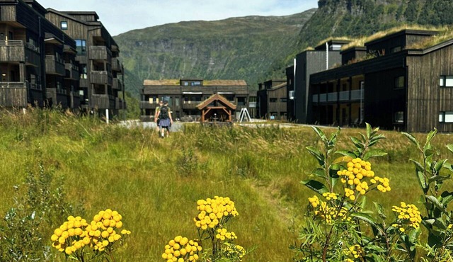 Mountain apartment with views in Myrkdalen