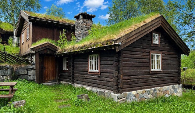Mountain cabin 4 in Ål with sauna
