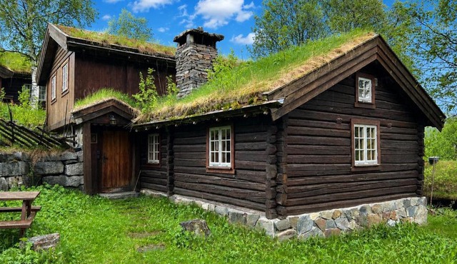 Mountain cabin 4 in Ål with sauna