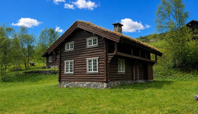 Mountain cabin 6 in Ål with sauna