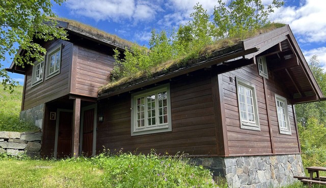 Mountain cabin 7 in Ål with Sauna in Ål