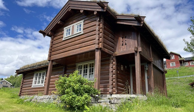 Mountain cabin 8 in Ål with Sauna
