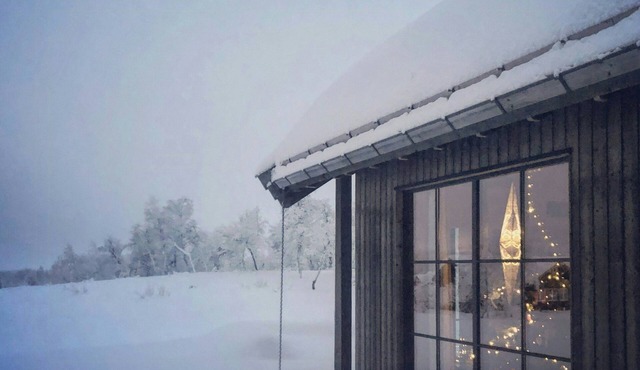 Mountain cabin by the trails in Beitostølen
