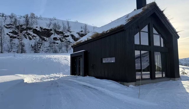 Mountain cabin in Sirdal - great destination all year round