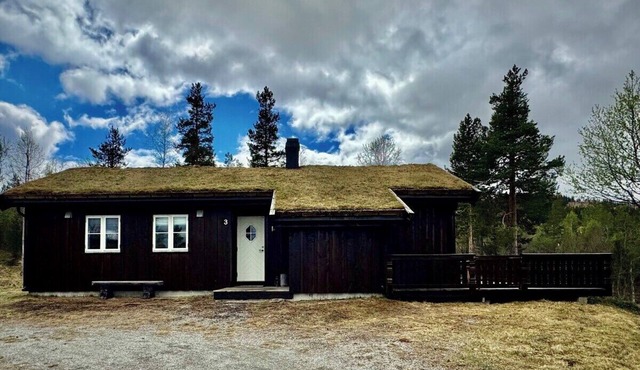 Mountain Cabin Nesfjellet Sauna, Hot Tub & Skiing