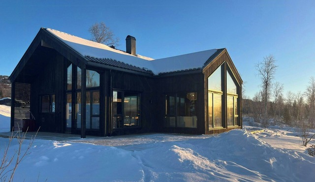 Mountain cabin with beautiful lake view