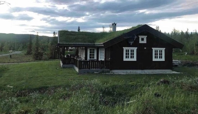 Mountain cabin with cinema near Synnfjellporten