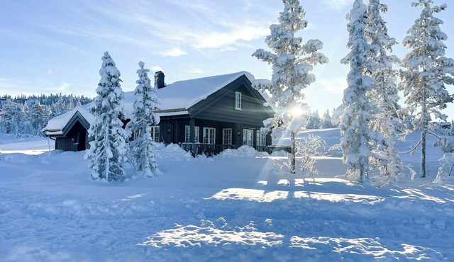 Mountain cabin with panoramic view in Nesbyen