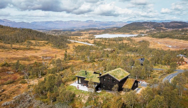 Mountain cabin with ski in/ski out by Silkedalen