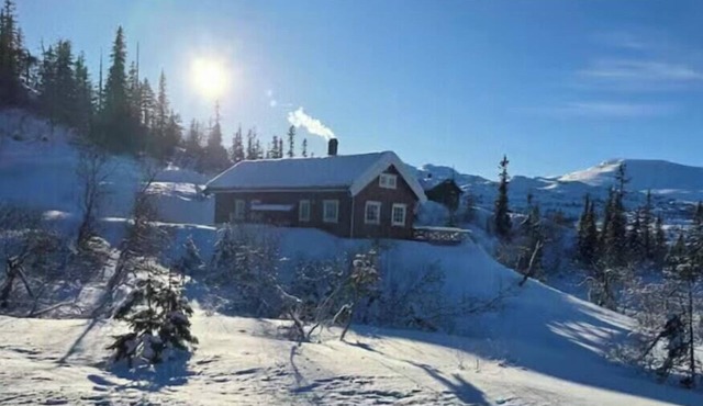 Mountain cabin with ski access in Høgevarde