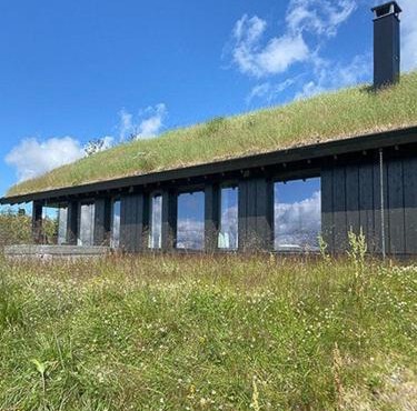 Mountain Cabinin Valdres
