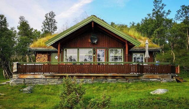 Mountain chalet with views of Trollheimen