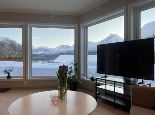 Mountain View apartment