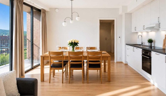 MV29 - 2BR Modern Terrace Apartment Oslo