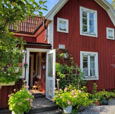 Mysigt rum med lantligt läge i privat bostad med katter