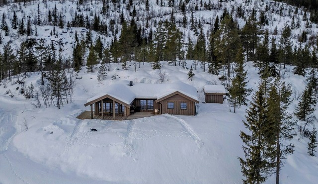 Nature-close cabin by the water