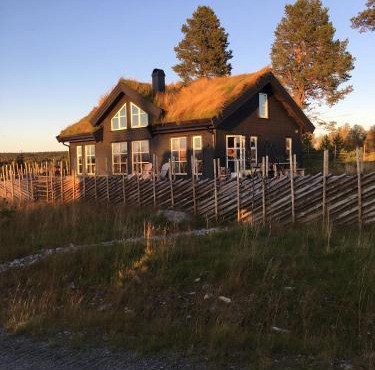New and cozy family cabin on Golsfjellet in Gol