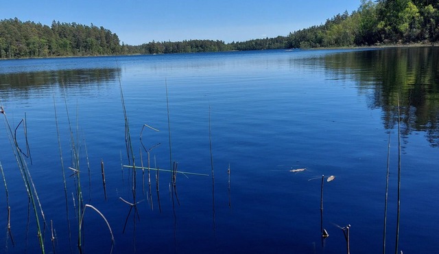 New house by the lake - comfortable and beautiful, with wallbox & no hidden costs.