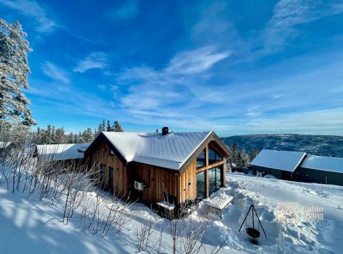 New modern cabin at Norefjell with sauna in Noresund