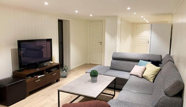 Newly renovated basement apartment