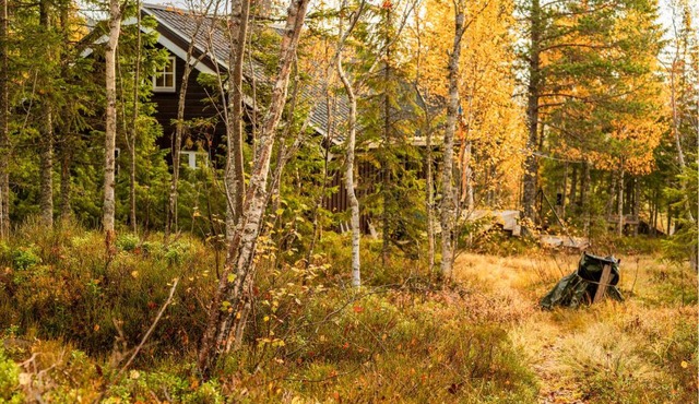 Nice Home In Grong With Sauna in Grong