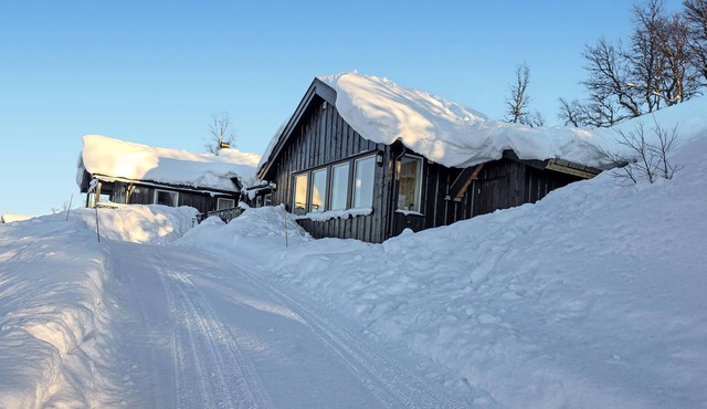 Nice home in Rauland with WiFi