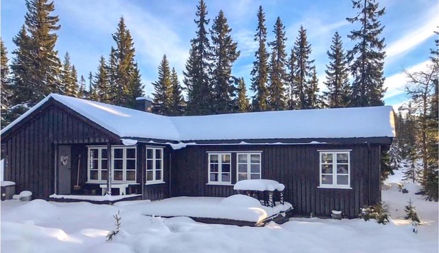Nice Home In Sjusjøen With Wifi