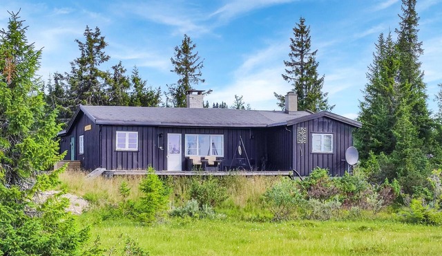 Nice home in Sjusjoen