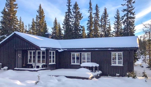 Nice home in Sjusjøen with WiFi