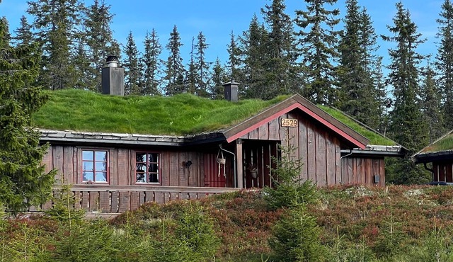Nice home in Sjusjøen with sauna