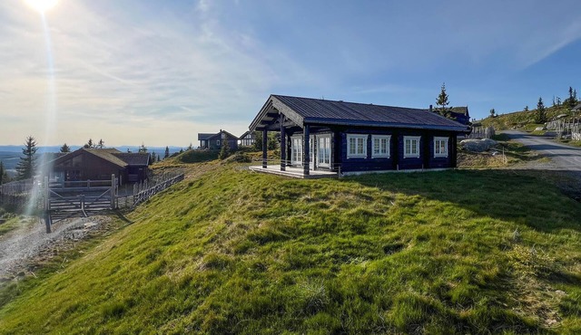 Nice home in Sjusjøen with house a mountain view