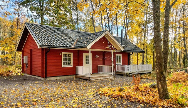 Nice home in Svanskog with WiFi