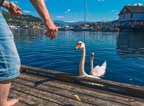 Nortorp, stort hus med egen brygge i sentrum