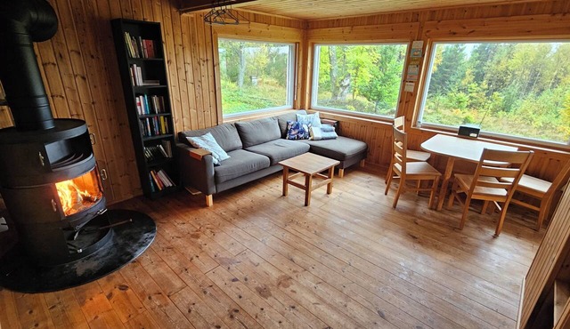 Off-Grid Cabin in the Middle of the Forest