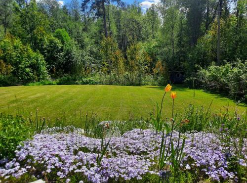 Okidoki huset med wellness