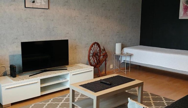 Peaceful and spacious apartment with free parking