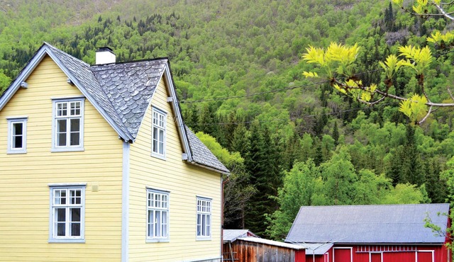 Pet friendly home in Eidfjord with WiFi