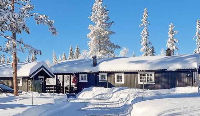 Pet friendly home in østby with WiFi