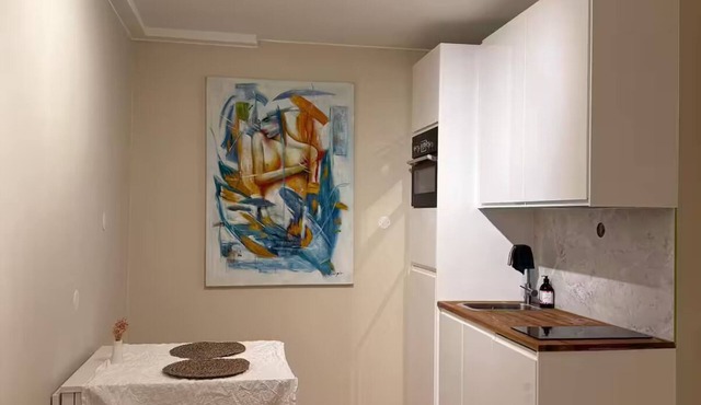 PP1B-Central-Cosy studio flat Suits globetrotters in Oslo