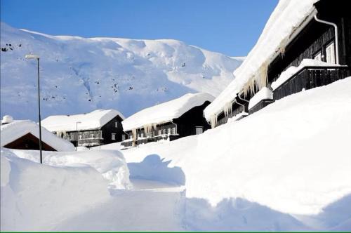 Røldal ski in ski out