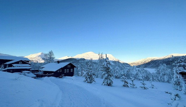 Relaxing mountain cabin in scenic surroundings