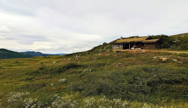 Renovated mountain cabin with cross country trails
