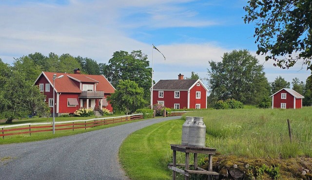 Rosen Skog in Småland: Cozy & Pet-Friendly