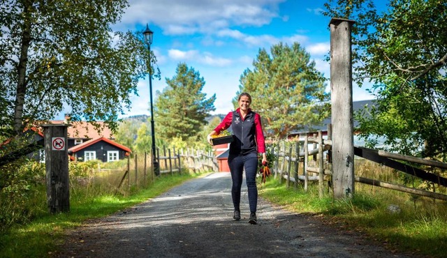 Søstrene Storaas hotell in Bolkesjo