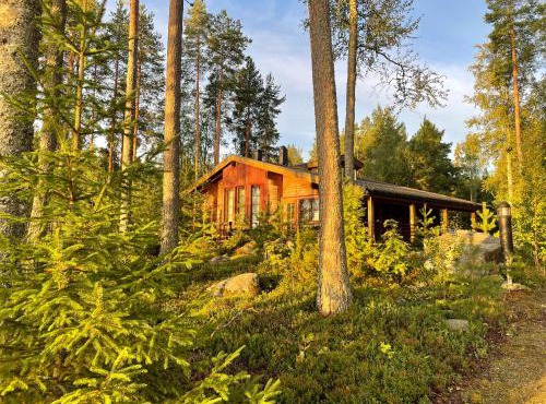 Saarilandia in Rönkönvaara