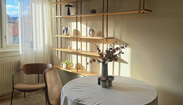 Scandinavian design by Akerselva in Torshov in Oslo