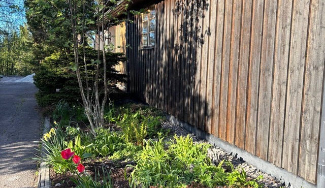 Scandinavian Forest Retreat Sauna Fireplace Nature Experiences in Åsensbruk