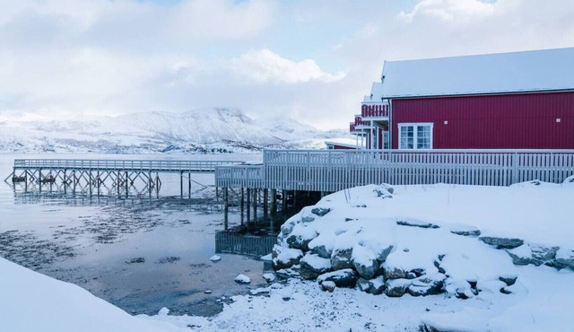 Seaside Cabins Near Tromsø | Northern Lights Views